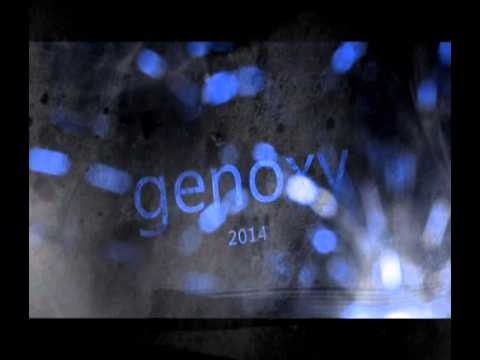 genoxy  -bonne année2014-