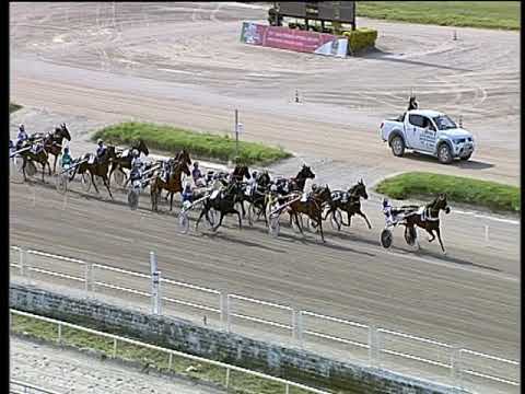 Trotto 06/06/2019 - 6ª corsa