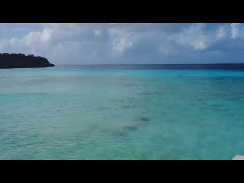 Playa Porto Mari Curaçao The Best Beach