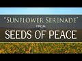 "Sunflower Serenade" - from the album, Seeds of Peace, by Dean Evenson & Volodymyr Solianyk