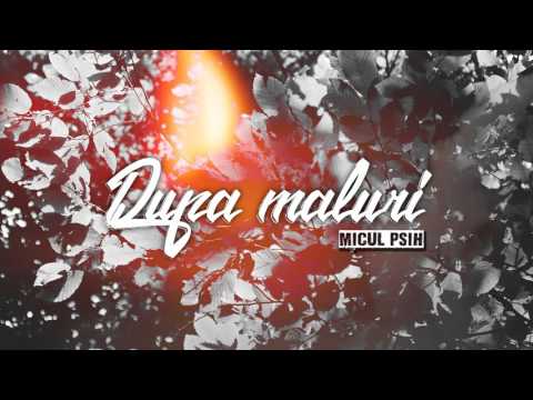 Micul Psih - După maluri