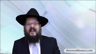 הרב שניאור אשכנזי, פרשת נח  • תיבת החלומות: איך נשארים מעל מי המבול?