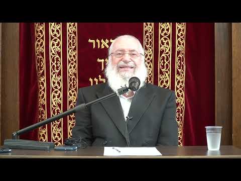 Understanding Proxy Observance in Commandments (שליחות במצוות) | Shiur by Harav Asher Weiss Shlita