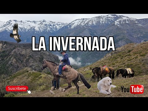 La Invernada Arrieros Cordillera de los Andes Capítulo 2 en Buscando Cabras en la Montaña la Suiza
