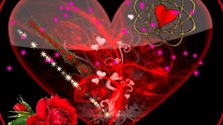 TURNALARA TUTUNDA GEL