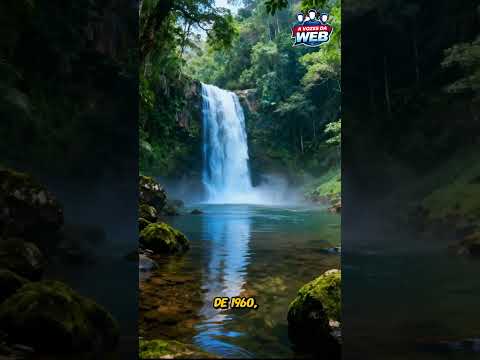 📍 REGIÃO NOROESTE DO PARANÁ