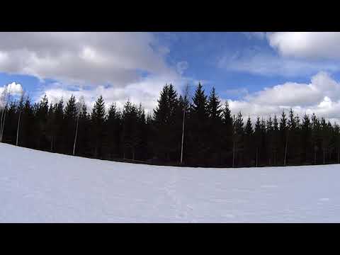 Metsolan Metsäkoulu 146 - Alikasvoksen hyödyntäminen?