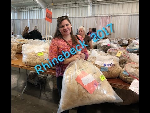 Buying a Fleece at Rhinebeck 2017: CraftyGarden N. 16