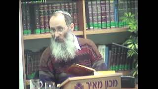 נבואה ומשפחת אבינו