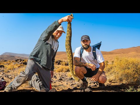 The Last Snake Hunters: Aissauas