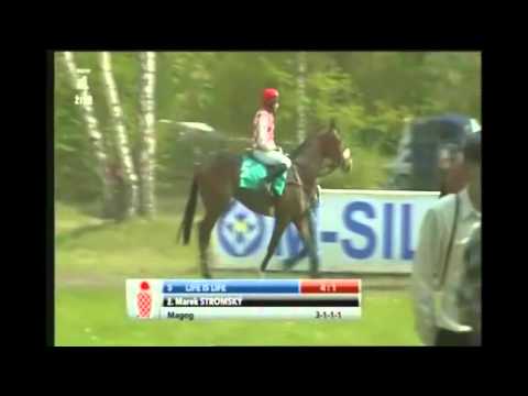 Pro Marka Stromského