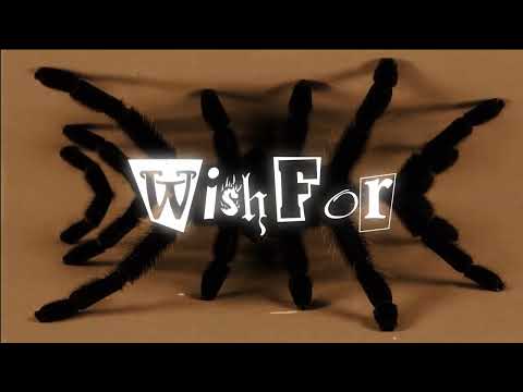 Kxllswxtch x Mikey The Magician- CHARLOTTE'S WEB [Lyric Video]