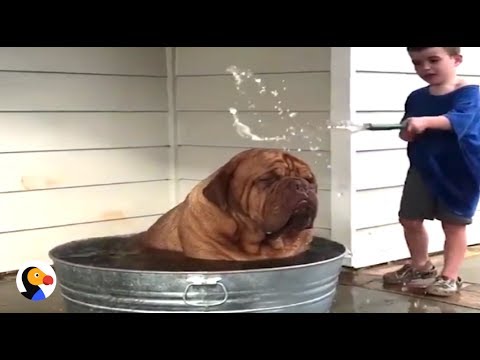 {$row[$i]['name'], ENT_QUOTES,'utf-8'); ?>