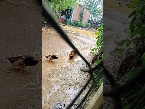 #beach #travel #music #love #edm