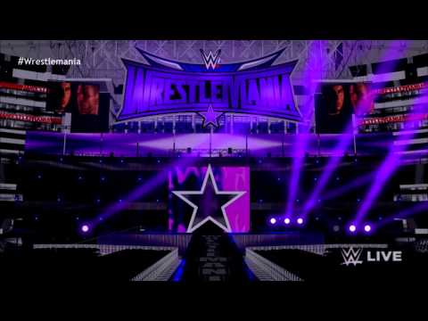 Hardy Boyz WWE Wrestlemania 32 Return Entrance Concept