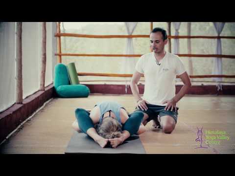 Asana Breakdown - Supta Kurmasana