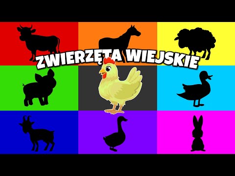 Zwierzęta wiejskie - Bajka edukacyjna - Film edukacyjny o zwierzętach na wsi