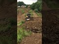 IMG 0204