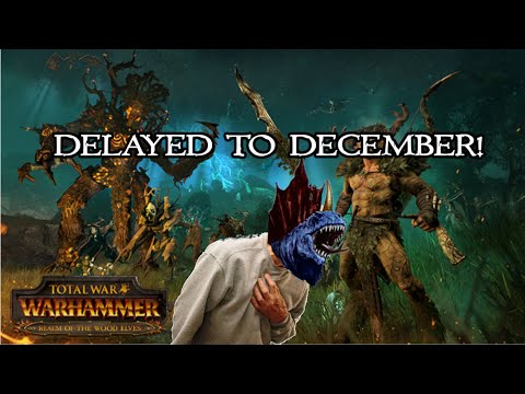 Wood Elf DLC Delayed! Is this good or bad?
