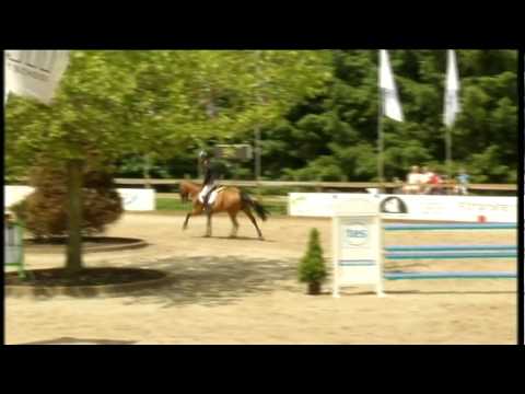 stal krabbebos eurocommerce new york etten leur