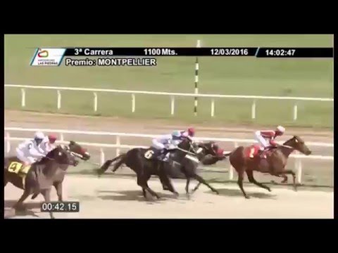 Victoria de CAPITAN ALADO en Maroñas para "Richi Techera"