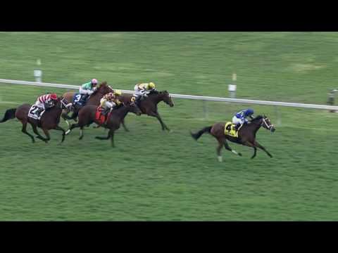 Sea Calisi Leads 2016 New York Field