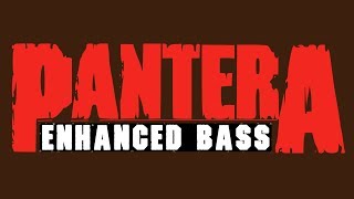 Pantera - The Underground In America ENHANCED BASS (Rex Brown) 2018 Sandblasted Skin