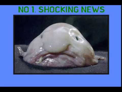 download lagu mp3 mp4 Rip Her Up Natalia Illarionova, download mp3 Rip Her Up Natalia Illarionova free downloadn, video klip Rip Her Up Natalia Illarionova