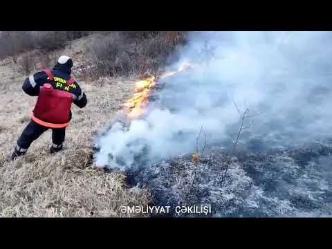 FHN Mətbuat xidmətinin məlumatı