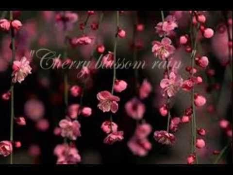 "Cherry blossom rain" Elena Tourbina piano