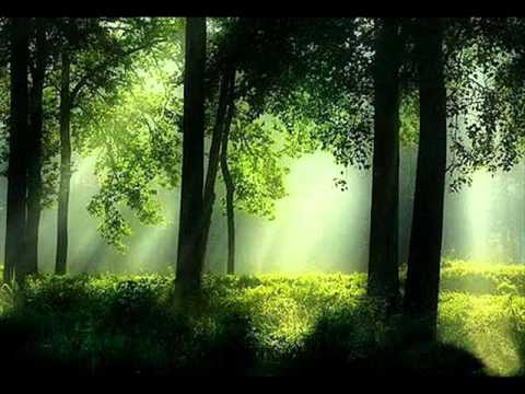 Sunlight video thumbnail
