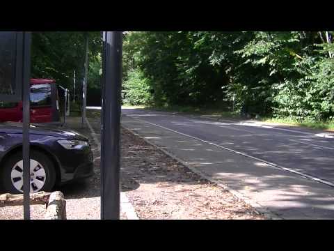 MongoTV_574 - Del 6 - Fede Johns Depri Gåtur Fredag Den 4.September 2015 Til Frederiksdal