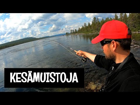 KESÄMUISTOJA - HARJUSTA PERHOLLA