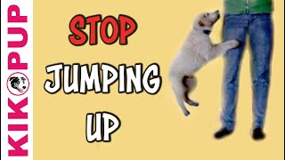 Stop Jumping Up