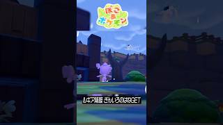 雨の日のこと　ルギアに出会った　ぽこ あ ポケモン