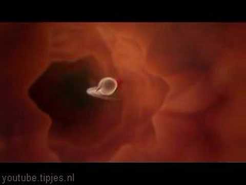 Naughty E-cards, Funny Video Sperm Banned Commercial Centea erotic..