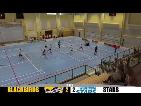 Maalikooste Blackbirds vs Stars (P22 1. Div)