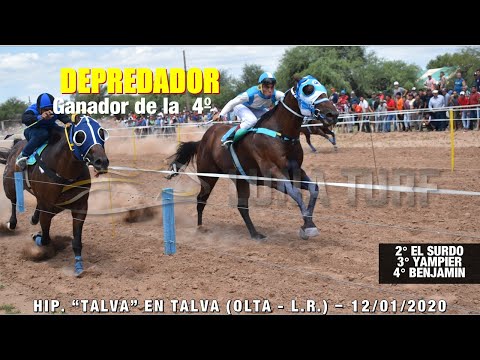 HIP. "TALVA" TALVA (Olta L.R.) - 12/01/2020 -DEPREDADOR, EL ZURDO, YAMPIER Y BENJAMIN