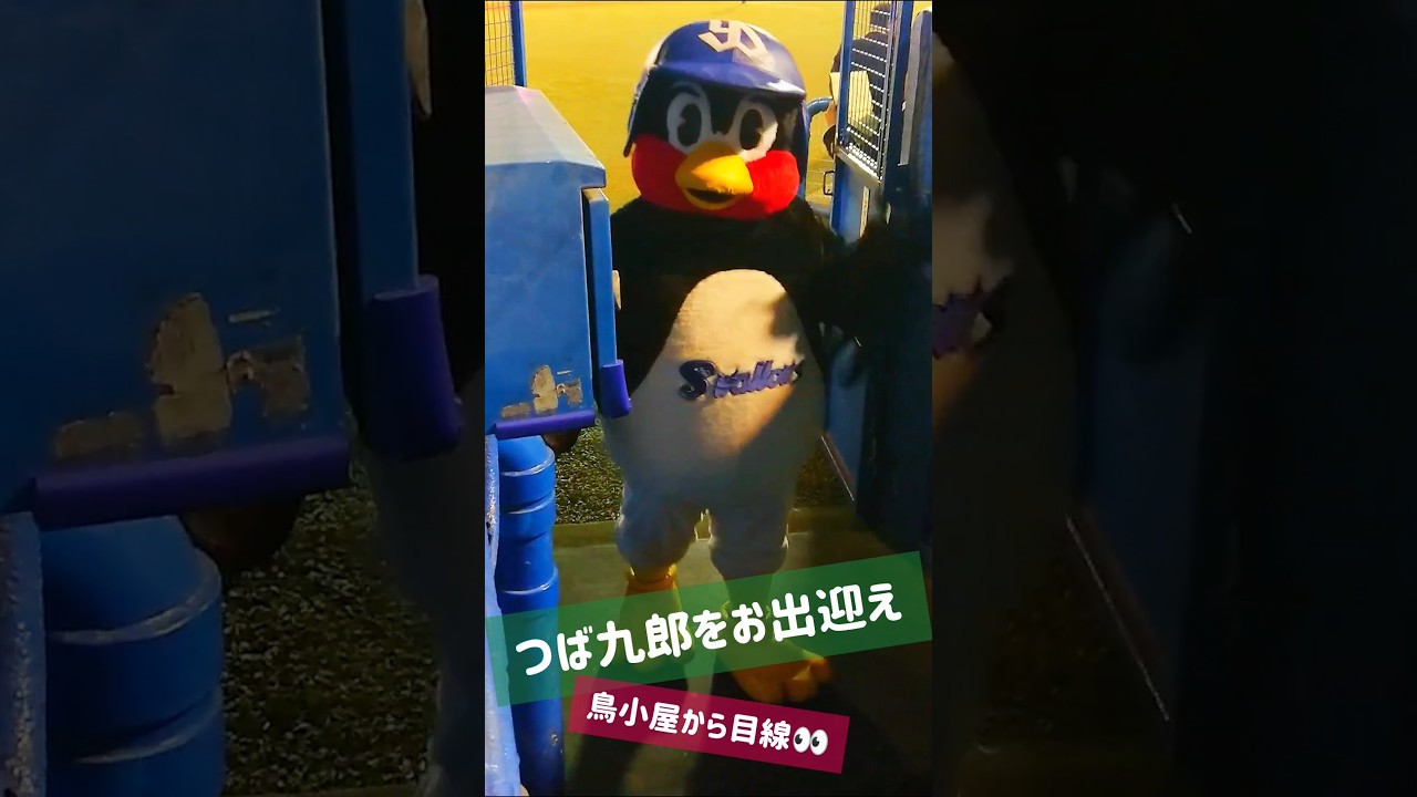 試合終了後、一塁側の鳥小屋に帰るつば九郎　#shorts ＃つば九郎