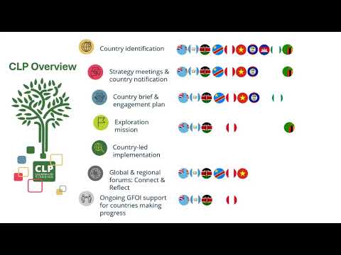 Second “Connect and reflect” virtual forum: Enabling factors for CLP implementation