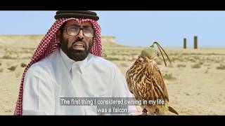 See the world through a falcon s eye شاهد العالم عبر عين الصقر