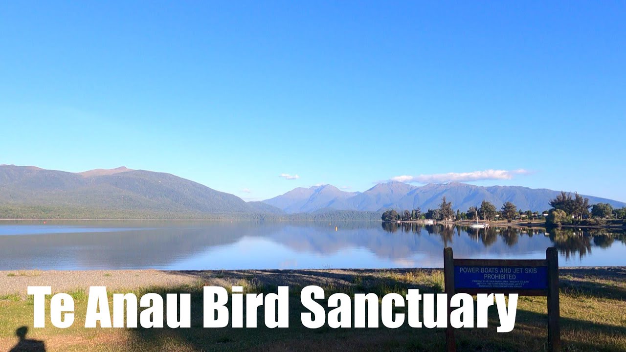Experience a walking tour around Te Anau Bird Sanctuary.