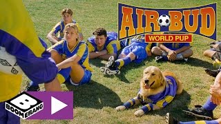 Download lagu La soirée des lycéens | Air Bud 3 | Boomerang mp3 Download lagu La soirée des lycéens | Air Bud 3 | Boomerang mp3