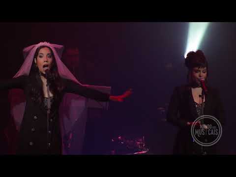 Desafiando a Amizade - "Not Getting Married Today" (Company)