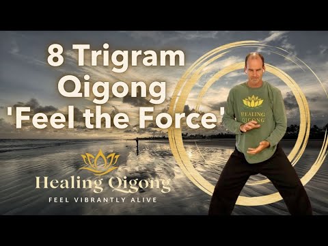 8 Trigram Training Video from our 'Feel the Force' in-person weekend