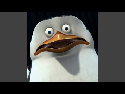 Pedro x DJGar Pato Pingwiny z Madagaskaru