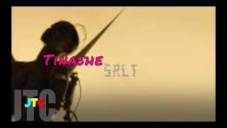 Tinashe - Salt (Lyrics)