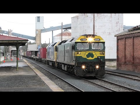 G520-BL26 on a very late 7901V at Dunolly. 10-06-21.