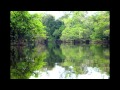 Na ribeira deste rio - Dori Caymmi