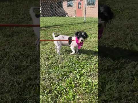 Selena Youtube Video